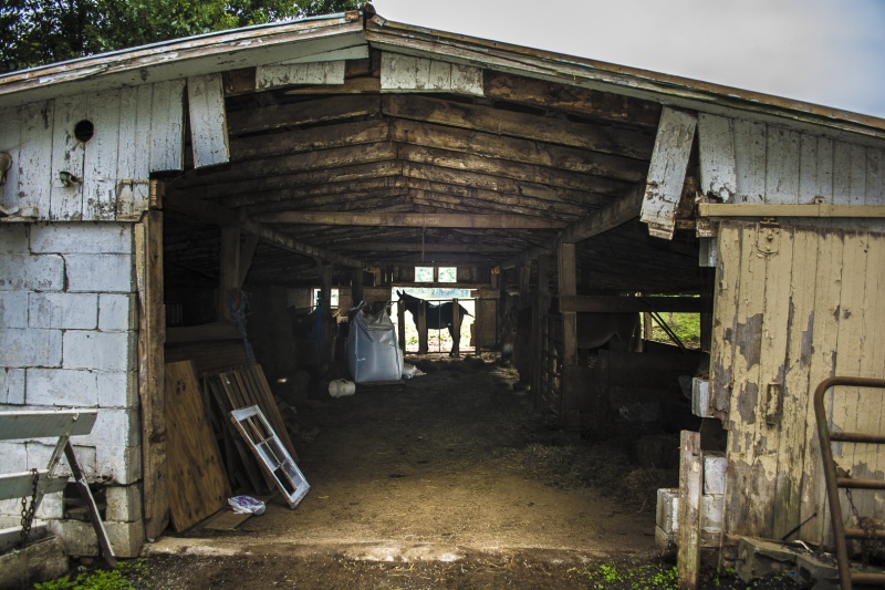 Amish Country