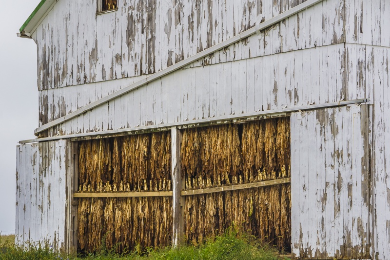 Amish Country