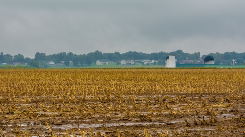 Plowed Fields