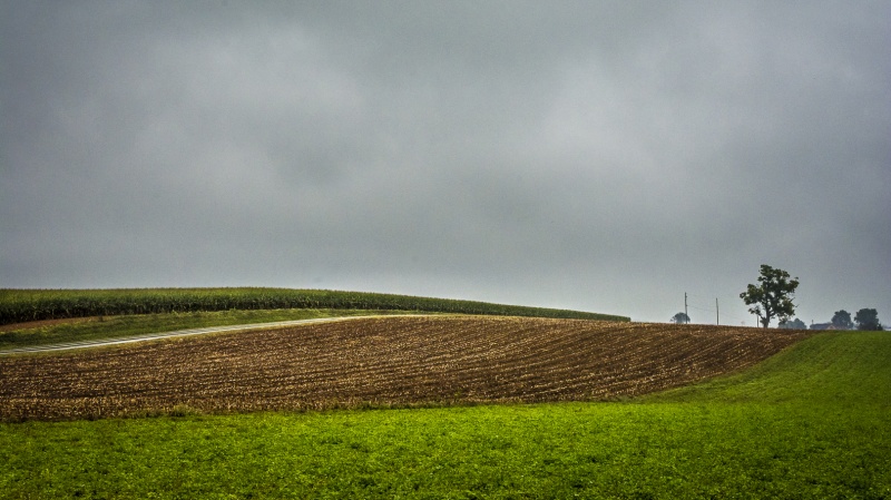 Amish Country