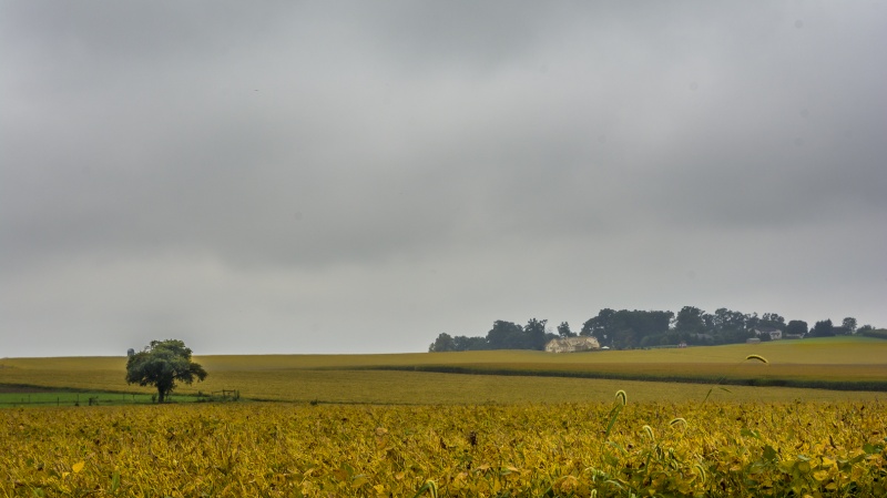 Amish Country