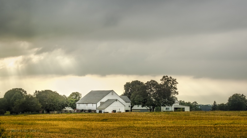 Plowed Fields