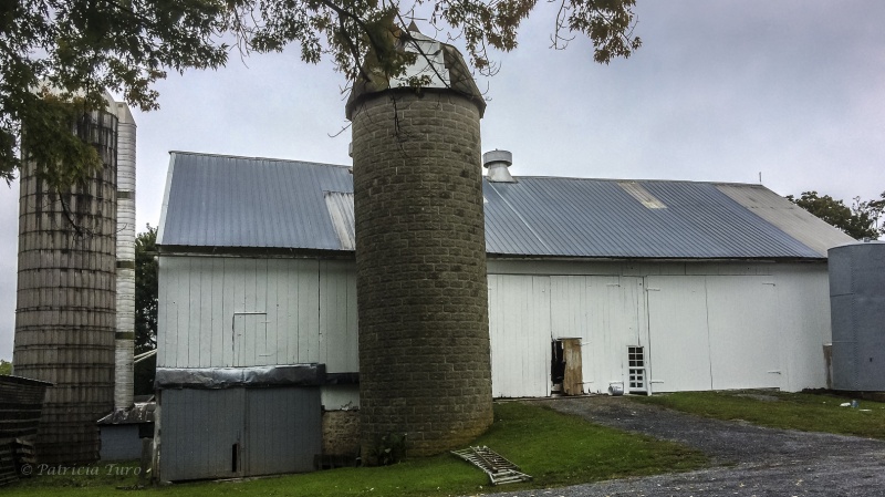 Amish Barn 5