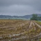 Amish Country