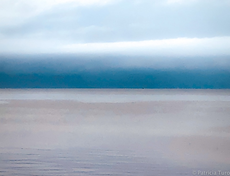 Through the Fog
