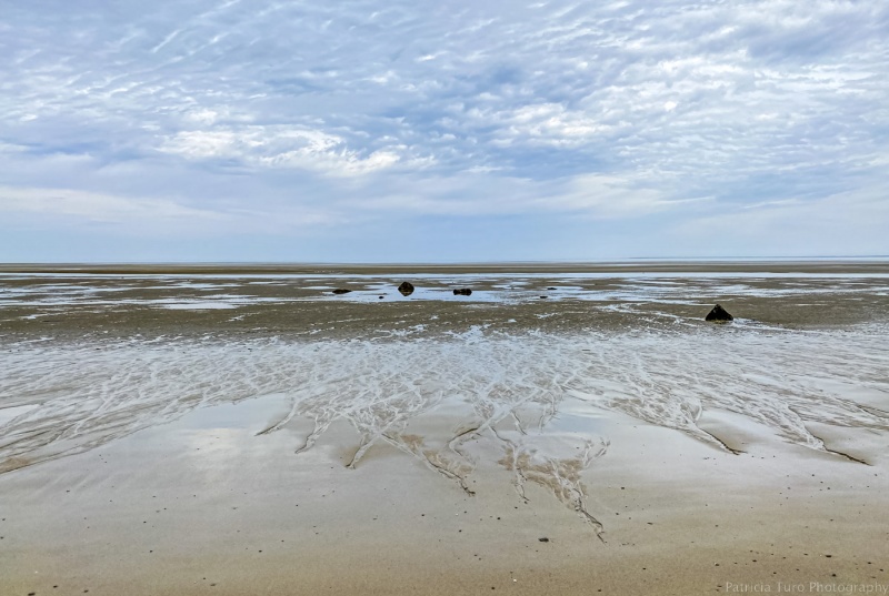 Flats at low tide 5