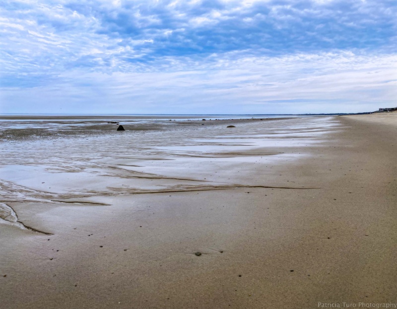 Low Tide on the Flats 4