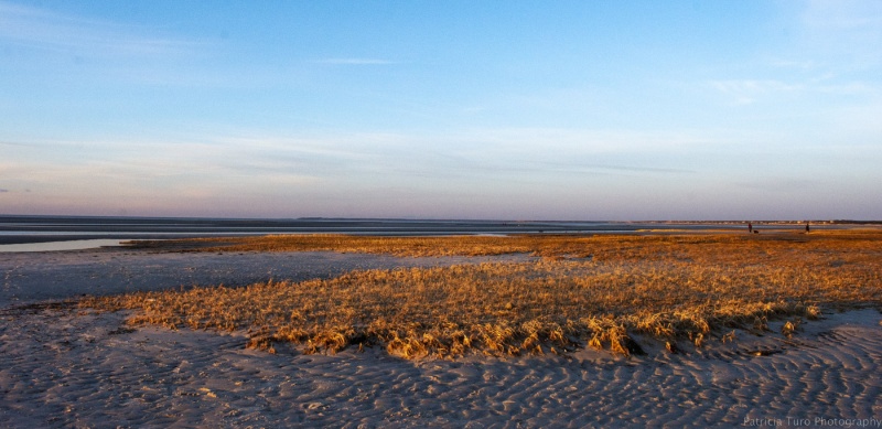 Golden Hour on the Flats
