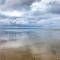 Clearing 2