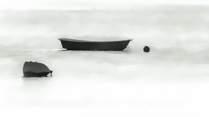 Cape Cod 14