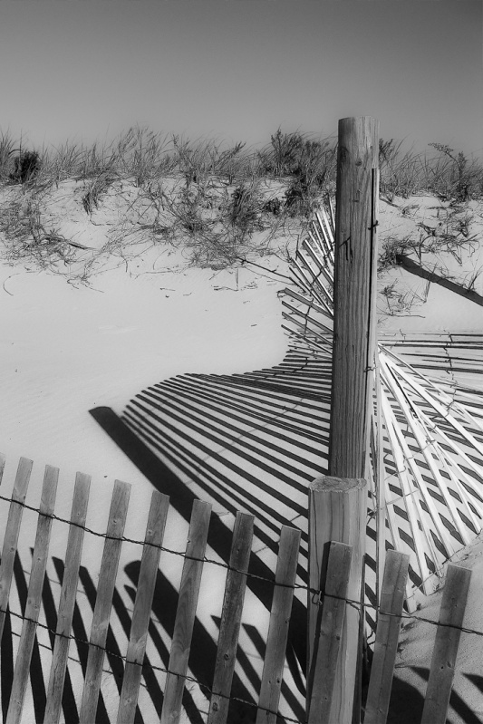 Cape Cod 10