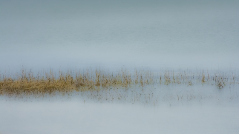 Blue Marsh