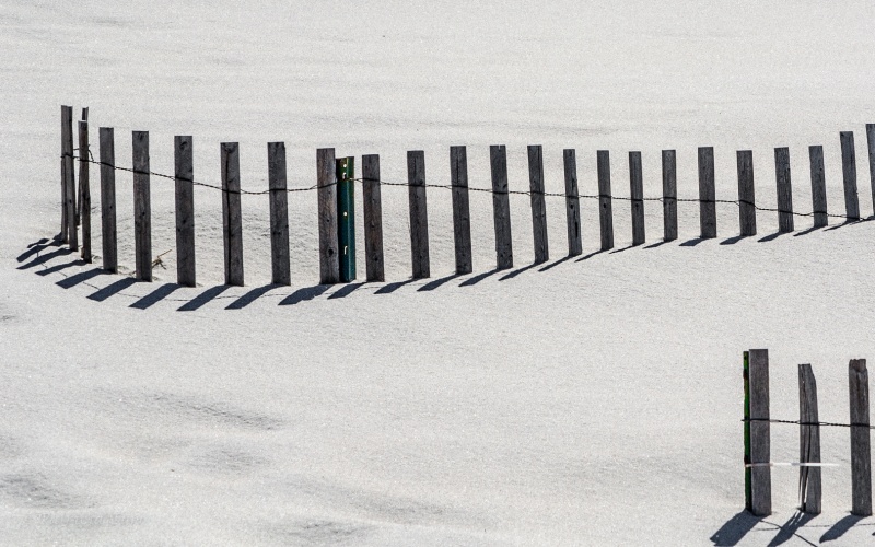 Mayflower Fence