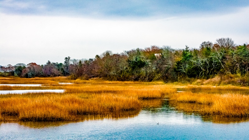 Autumn Marsh