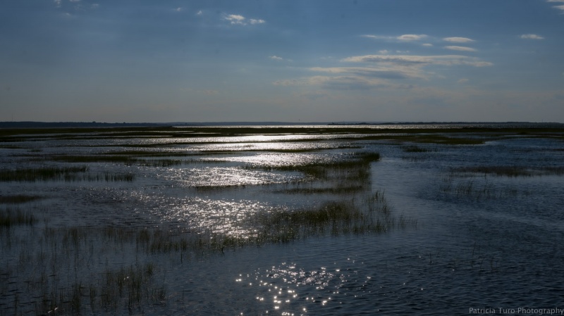 Greys Beach