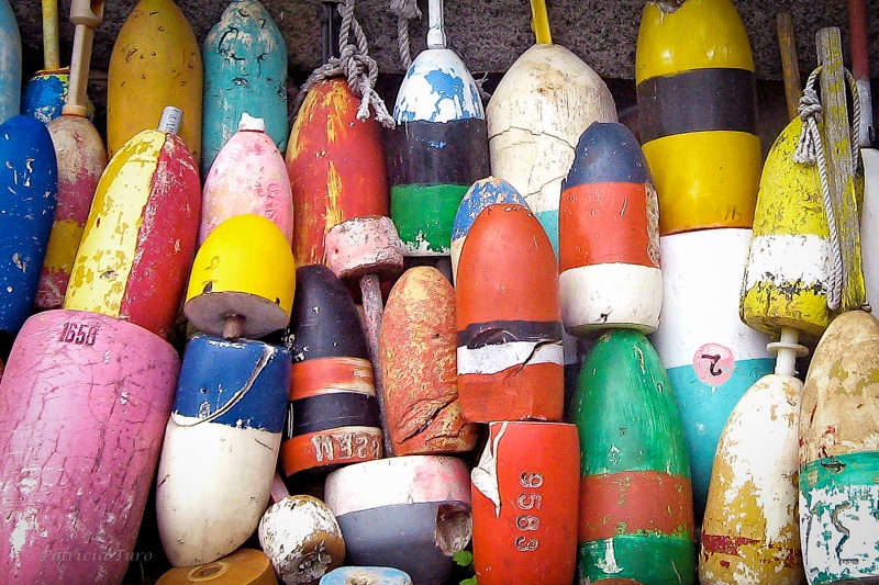 Gloucester, MA 1