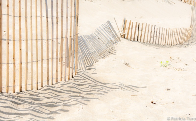 Plumb Island Storm Fence