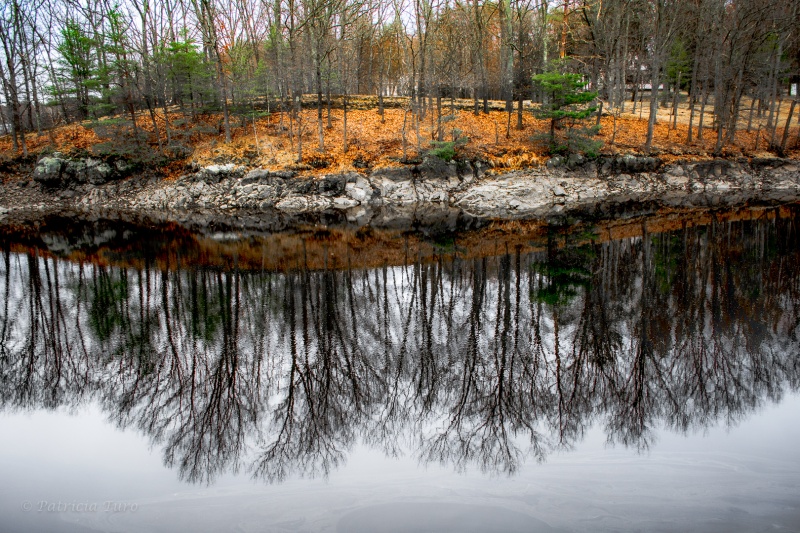 Winter Reflections