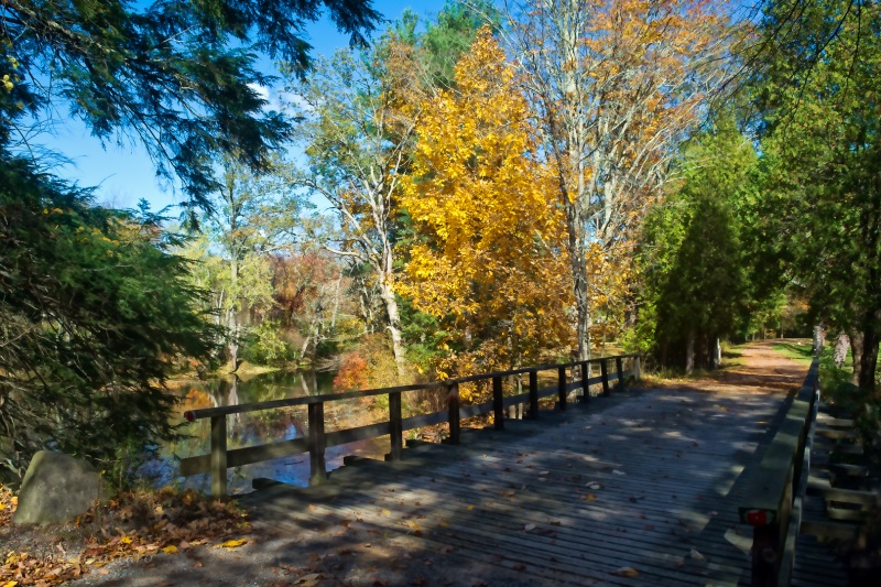 New England 7