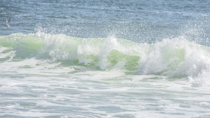 Nauset Beach 10