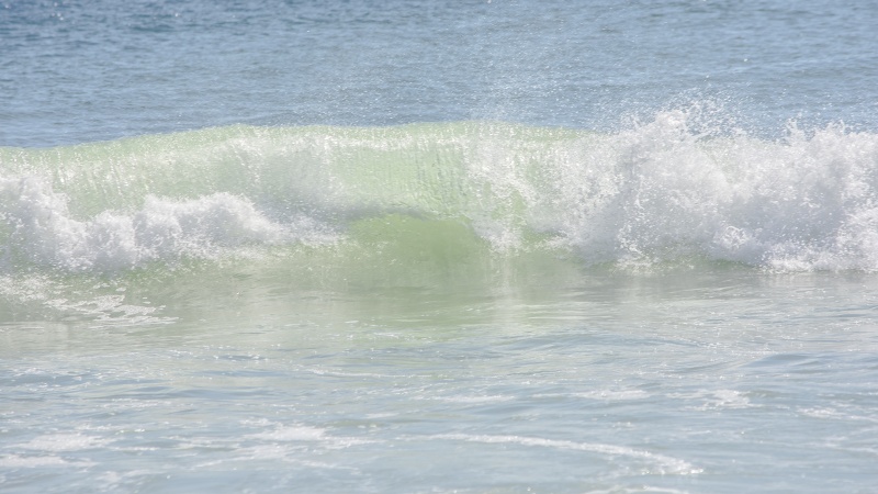 Nauset Beach 17