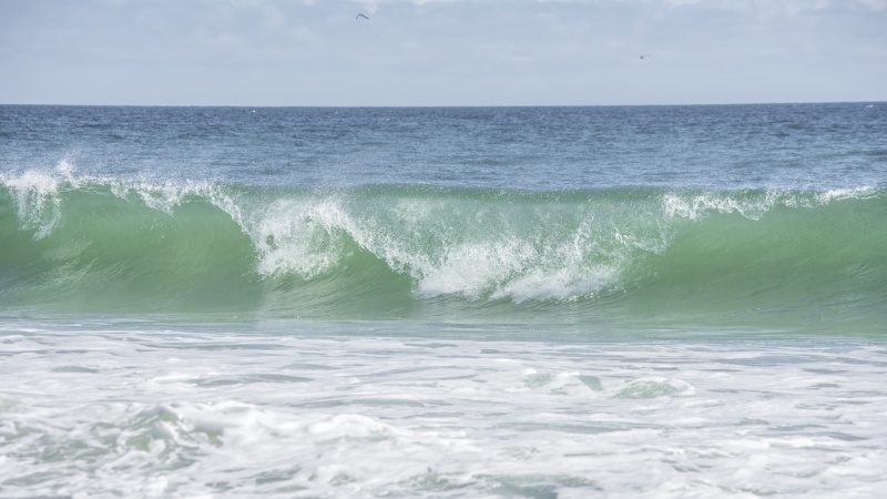 Nauset Beach 18