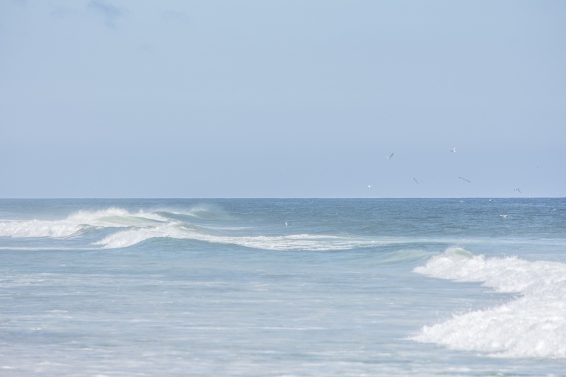 Nauset Beach 6