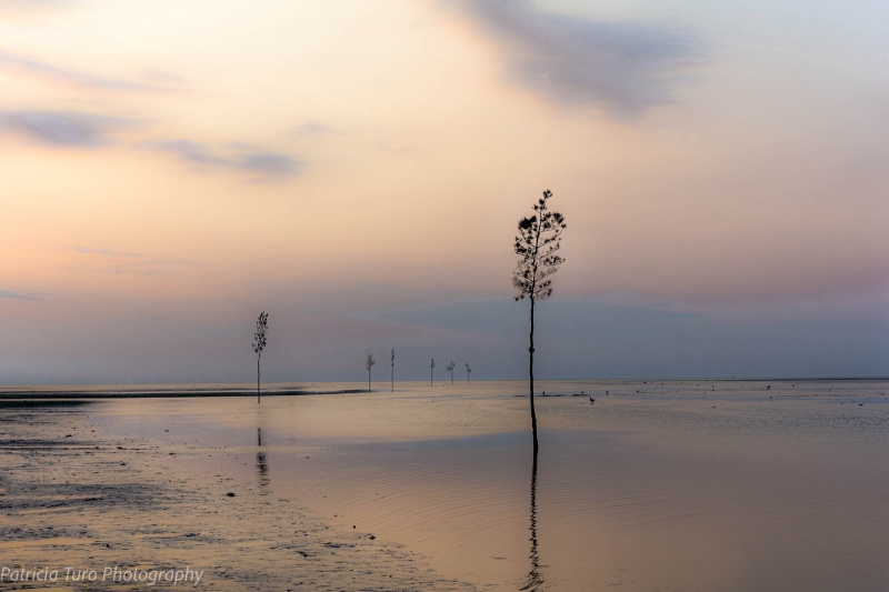 Rock Harbor 2