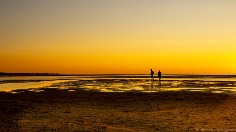 Skaket Sunset 20