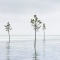 Rock Harbor 2