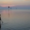 Amazed Child at the Sunset