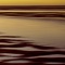 Skaket Sunset. 31