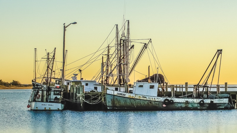 Cape Cod 11