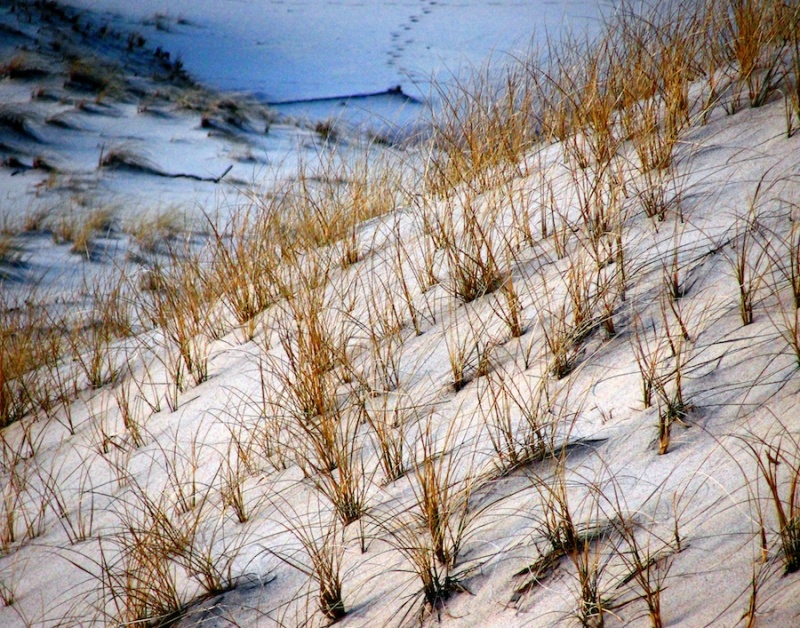 Sunset Over the Dunes
