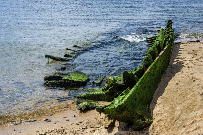 Race Point Sunken Boat