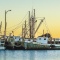 Cape Cod 11