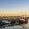 Provincetown 100