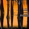 Sunset Piers