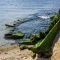 Race Point Sunken Boat