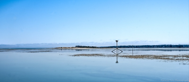 Sandy Neck 10