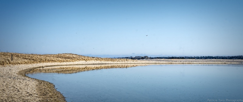 Sandy Neck