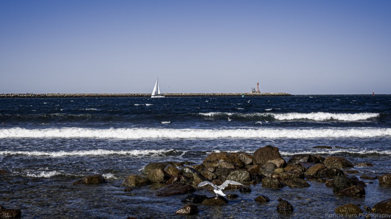 Town Beach 2