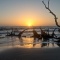 Driftwood Beach Sunrise 2