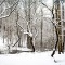 Winter Landscape 4