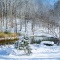Winter Landscape 19