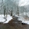 Winter Landscapes 10
