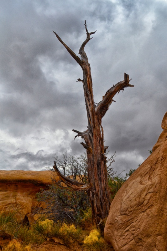 Devils Garden, Utah